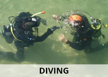 Diving